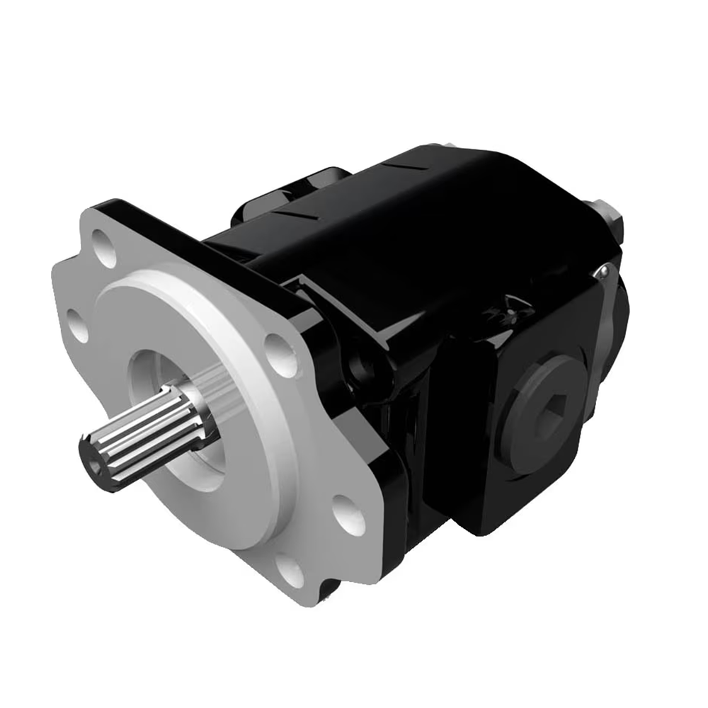 Cast Iron Pumps – PG020 Series (3089110264)