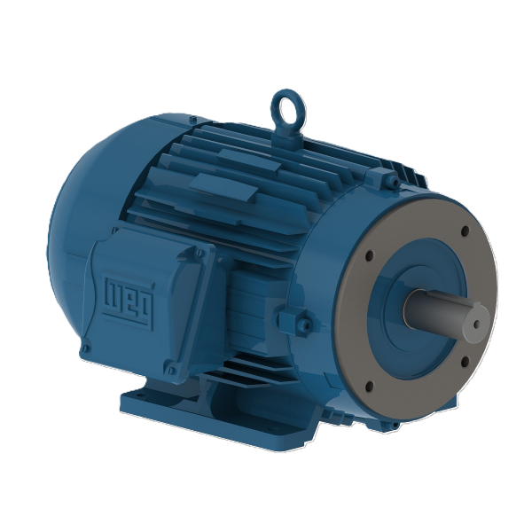 Motor trifasico (00218ET3EM145TC)