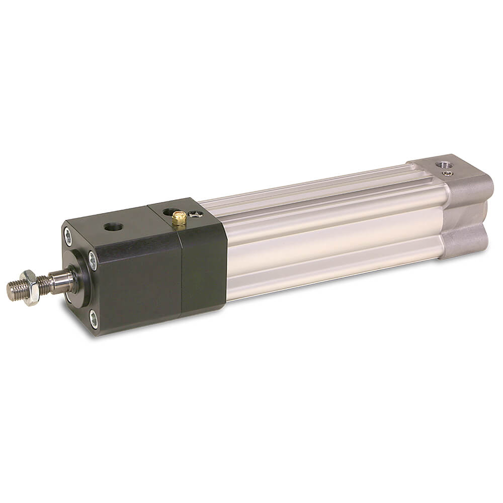 Pneumatic cylinder p1f (P1F-L032MC-0100-0000)